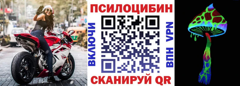 Псилоцибиновые грибы Psilocybine cubensis  Донской 