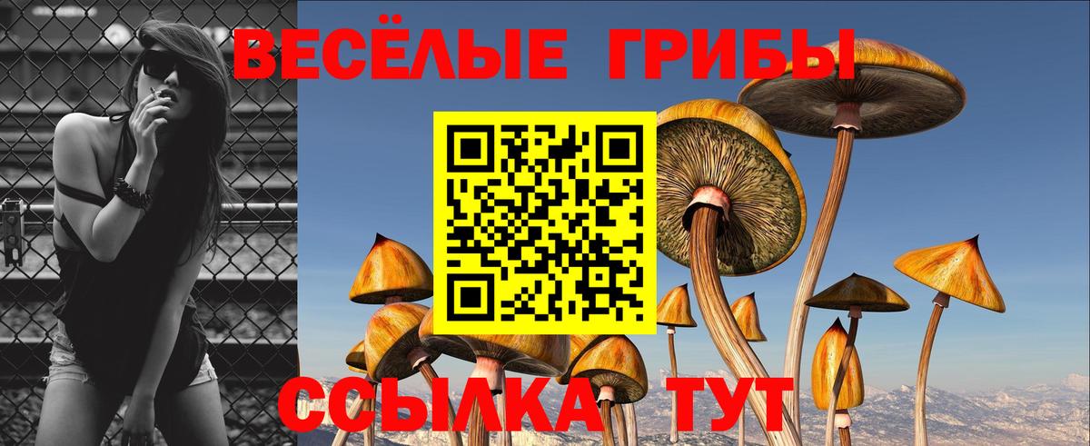 Псилоцибиновые грибы мухоморы  Донской 