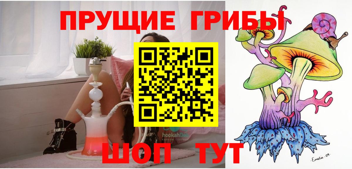 Псилоцибиновые грибы Psilocybe  Вход с VPN  Донской 